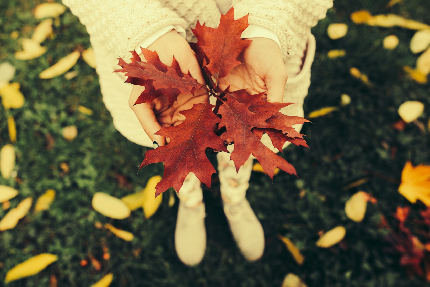 Holding autumn leaves